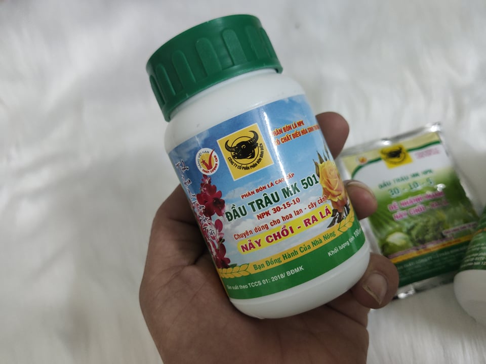 pHÂN BÓN lá đâu trâu 501 hủ 100g (npk)