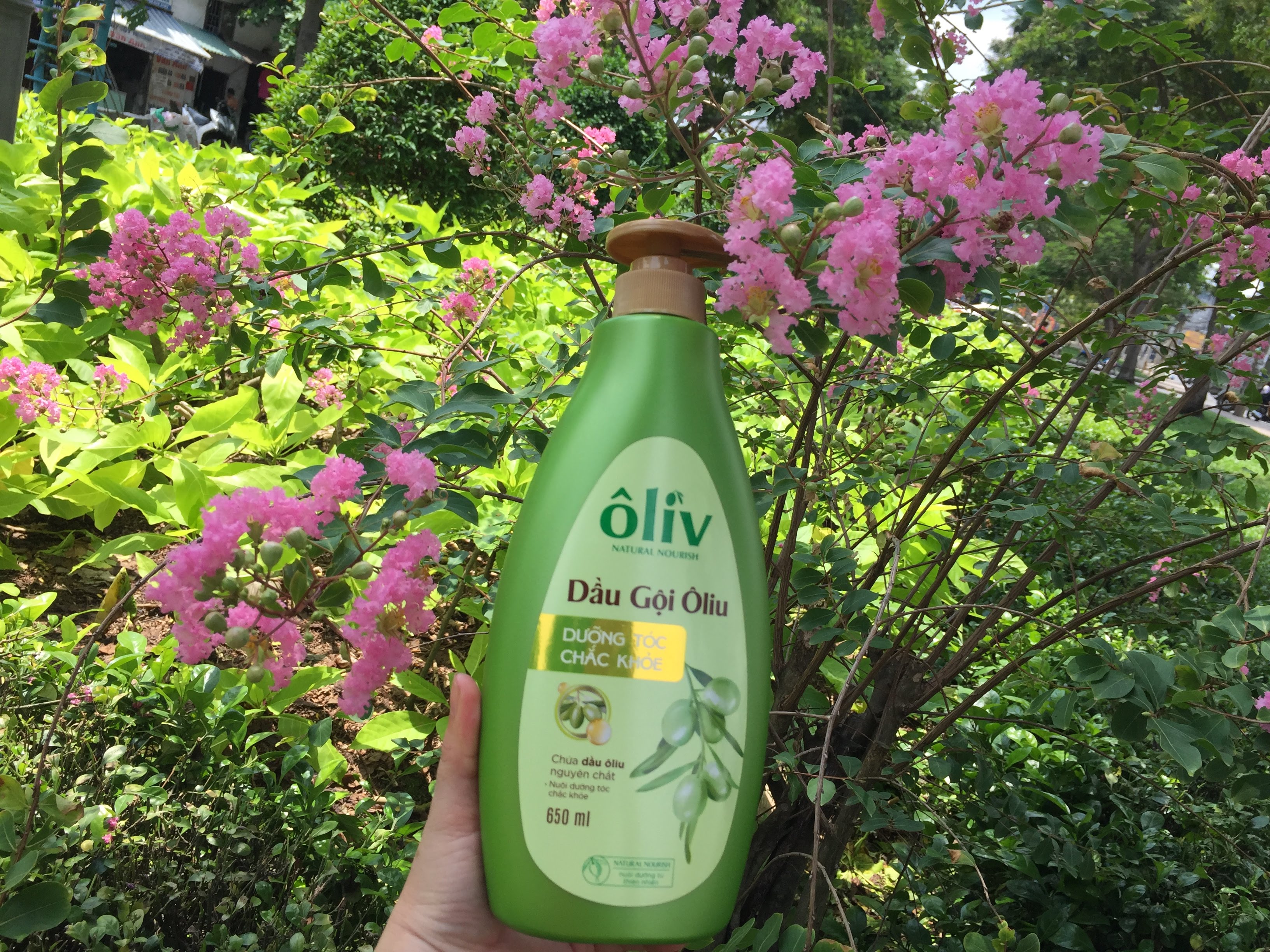 Combo dầu gội + sữa tắm tinh chất OLIVE 650 ml
