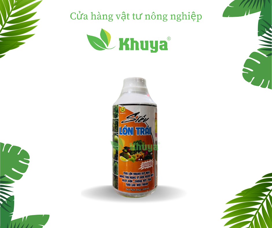 Phân bón Ý Mỹ Siêu lớn trái 500ml Ngọt Trái - Chống Nứt Trái