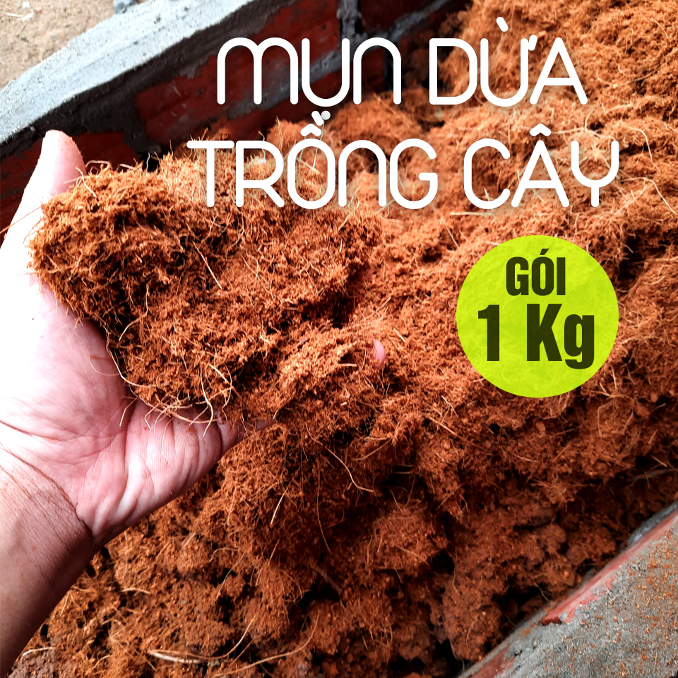 1Kg Mụn dừa ( sơ dừa ) đất nền giá thể trồng cây