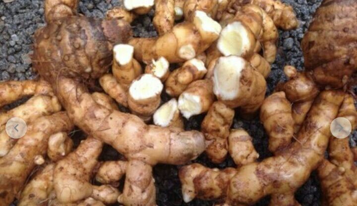 250gr Tinh bột nghệ trắng