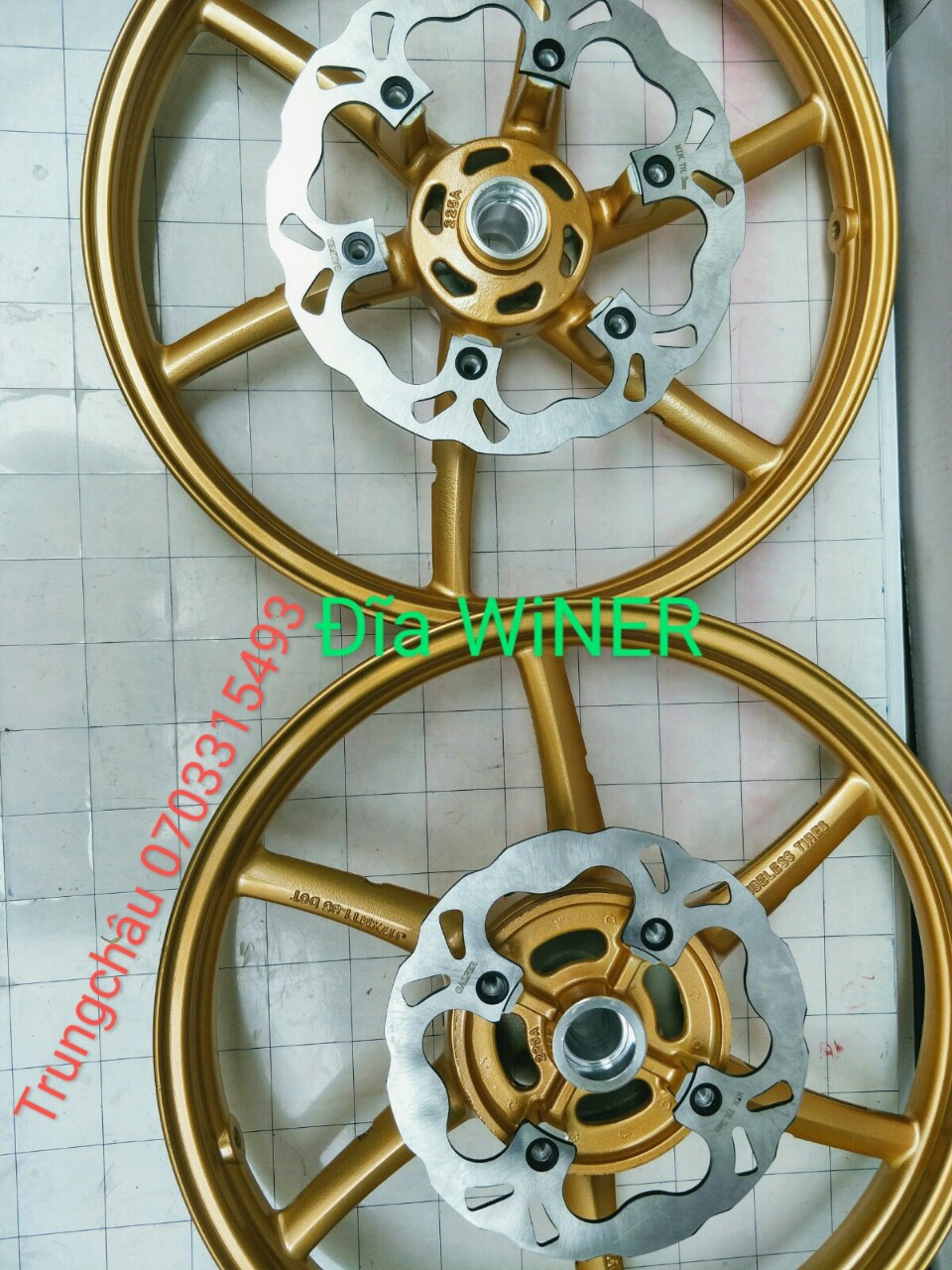 [HCM]Dĩa kiểu WINER