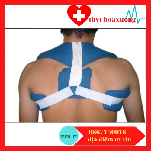 Đai xương đòn giahu-Đai số 8