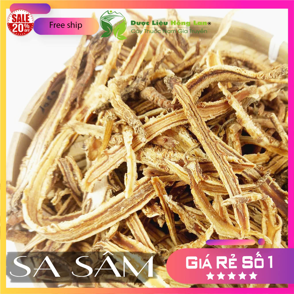 [FreeshipMAX] ✅[THƯỢNG HẠNG] 500g Sa Sâm đẹp loại 1