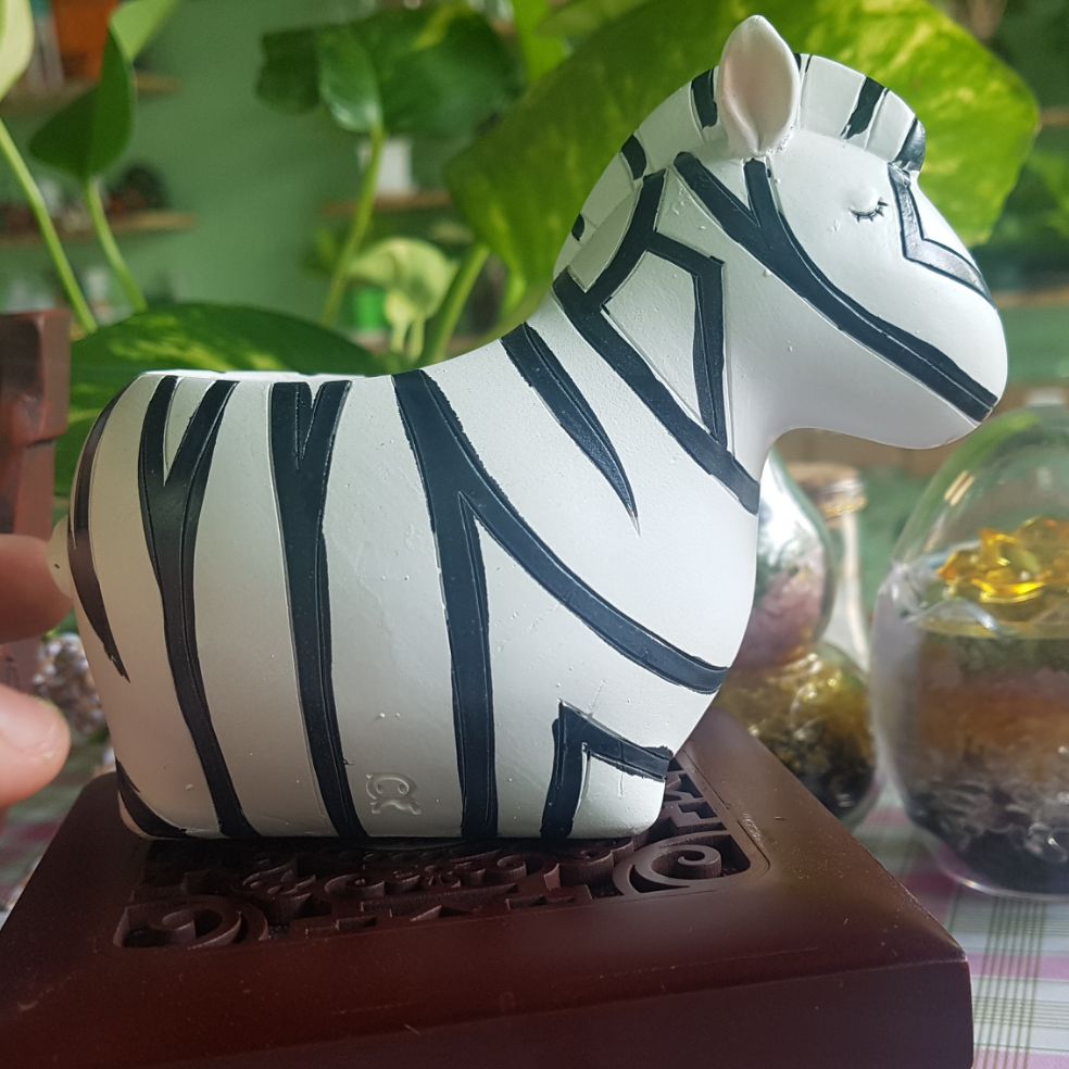 chậu trồng cây ngựa vằn