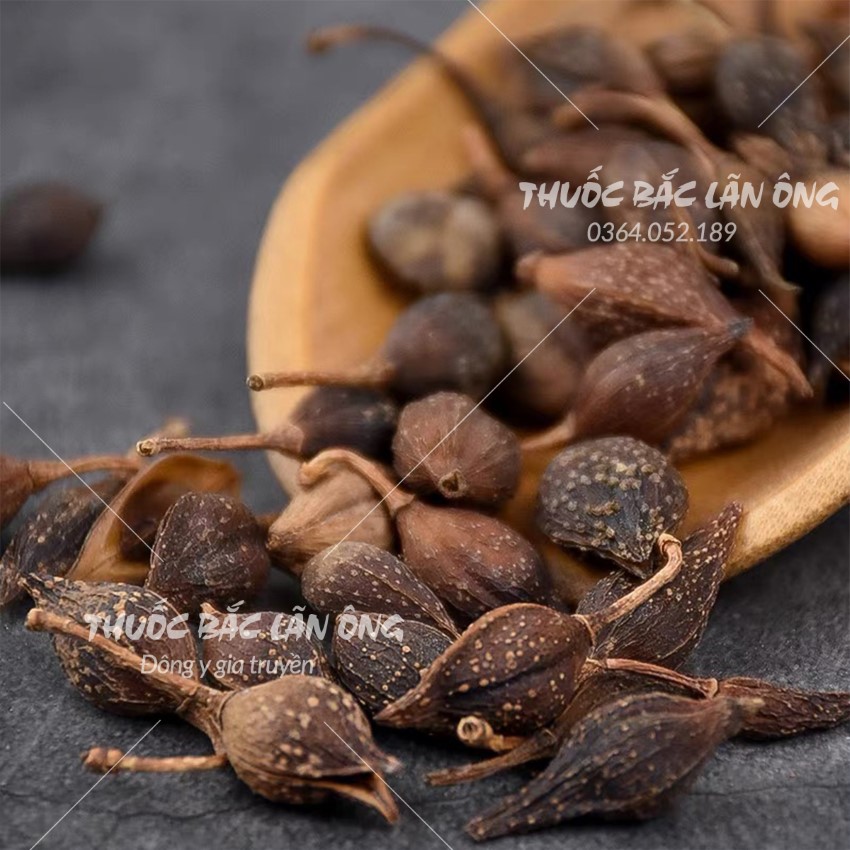 Liên kiều khô 500g, hạ liên tử, hỗ trợ giảm mụn nhọt, mẩn ngứa, giải nhiệt, thải độc, mát gan