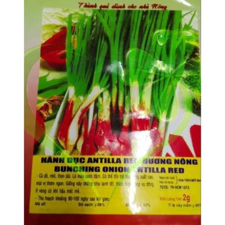 Hạt giống hành lá gốc tím - gói 2 gram