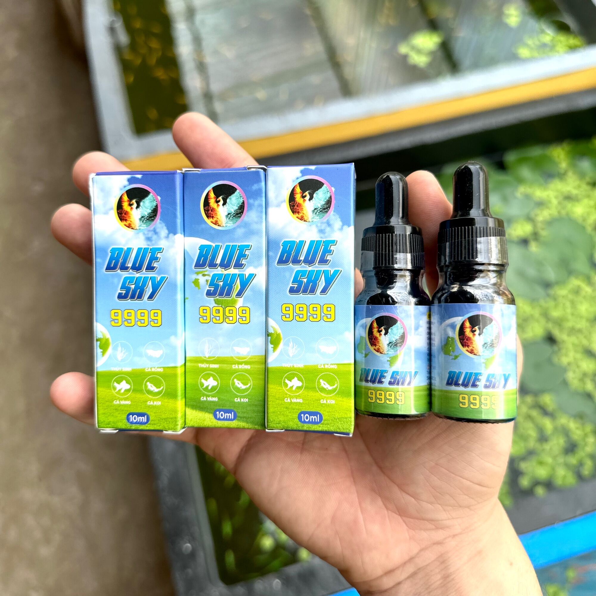 blue sky 9999 thuốc trị bệnh cá 7 màu guppy
