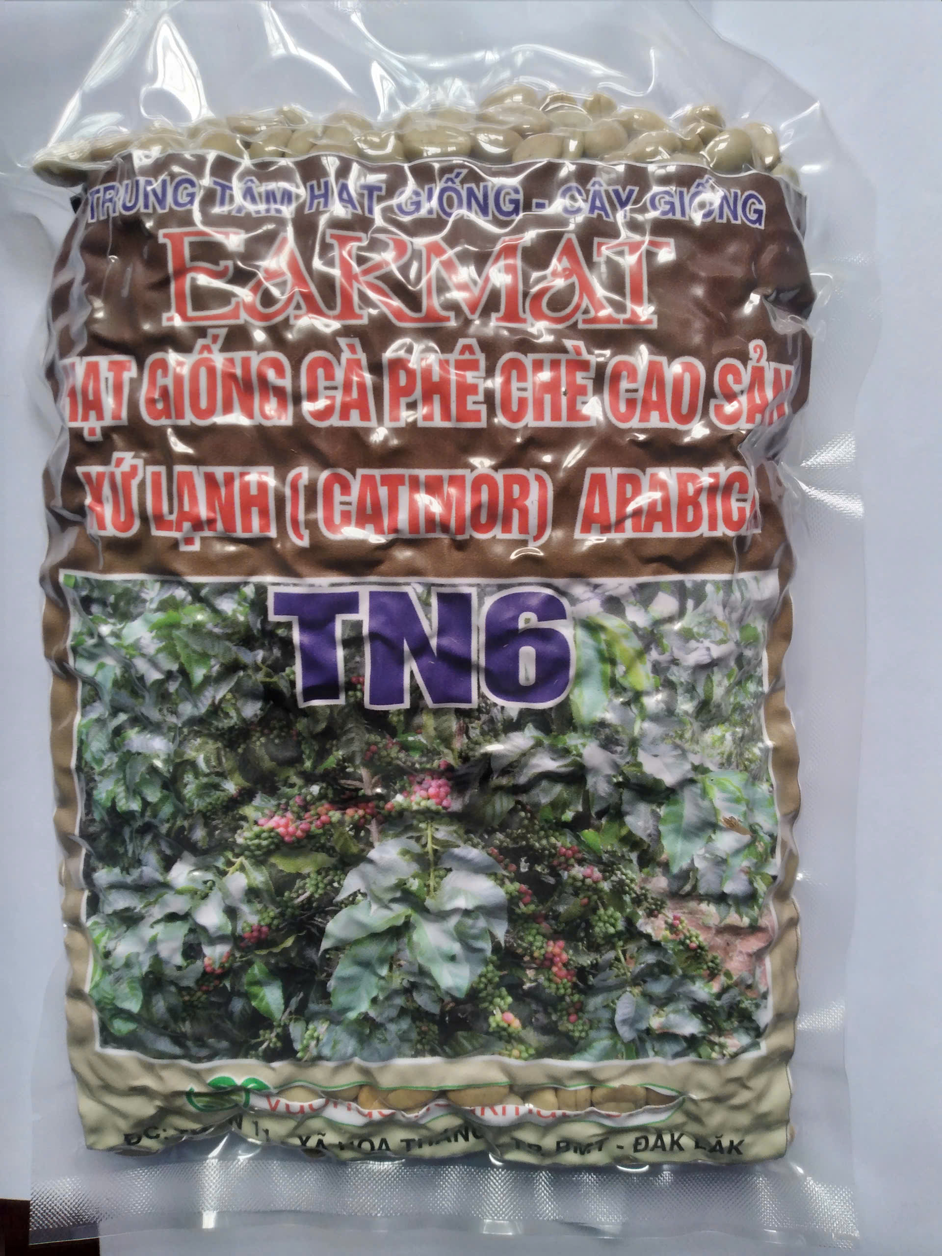100 GRAM  HẠT Giống cà phê chè CAO SẢN XỨ LẠNH (CATIMOR) ARABICA TN6 [ HẠT ĐẸP TUYỂN CHỌN BAO NẢY MẦM ĐÓNG GÓI KỸ HÚT CHÂN KHÔNG NHƯ HÌNH  ] thích ứng tốt tại các vùng sinh thái đặc thù ở Tây Nguyên, BắcTrung Bộ và Tây Bắc (vùng có độcao trên 600 m[ GHN ]
