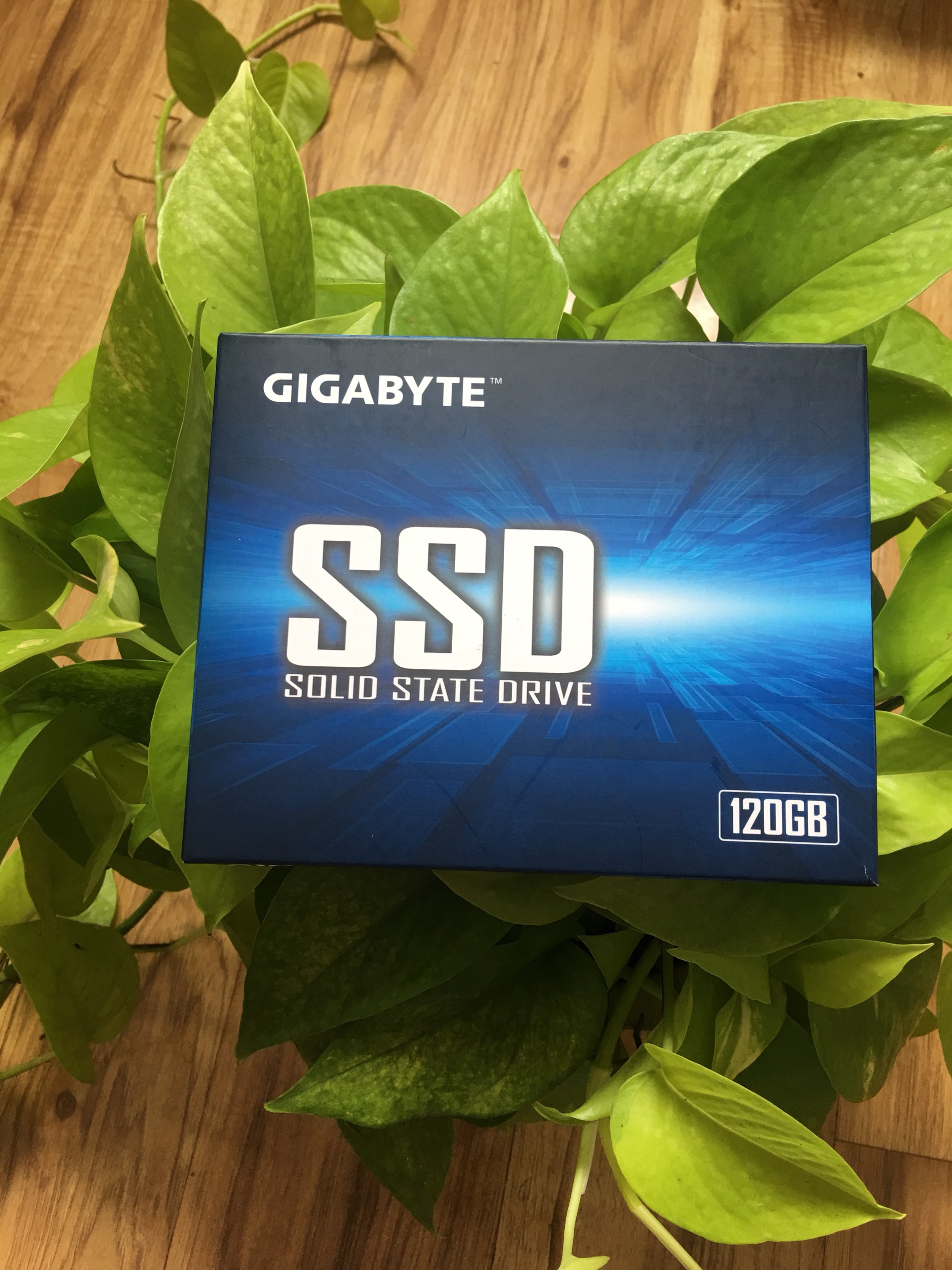 Ổ cứng SSD 120GB Gigabyte Sata III (GP-GSTFS31120GNTD)