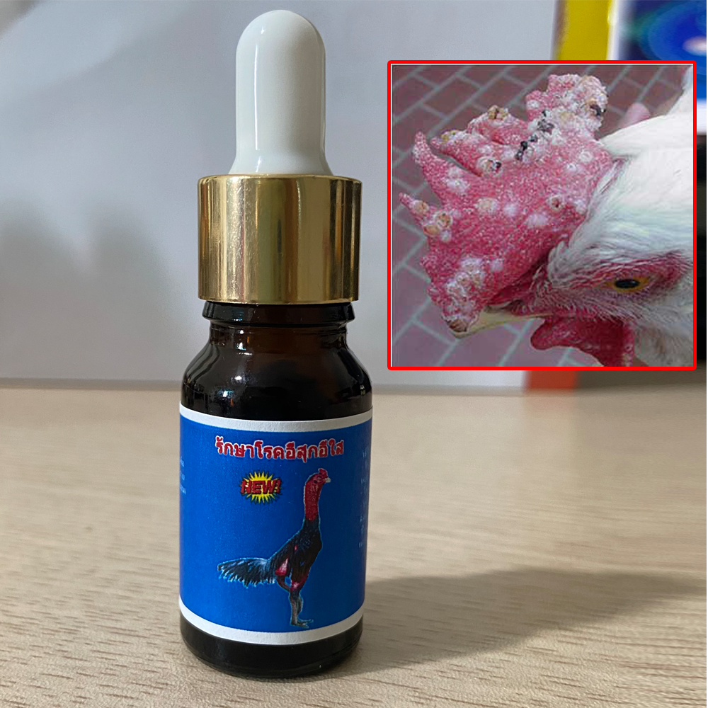 Thuốc trị bệnh đậu gà, trị bệnh lác gà - Nhập khẩu chính hãng Thái Lan