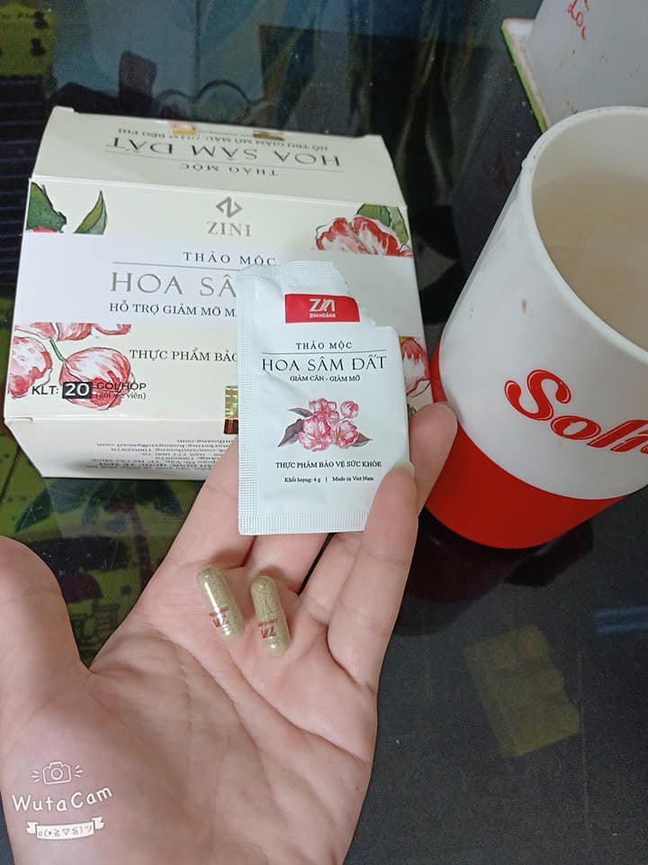 TRÀ HOA SÂM ĐẤT