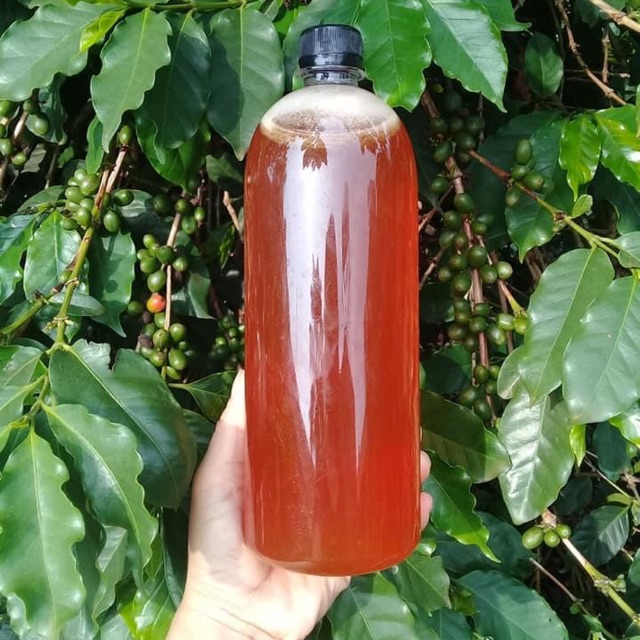 Mật ong nguyên chất  Đăk Lăk 1lit
