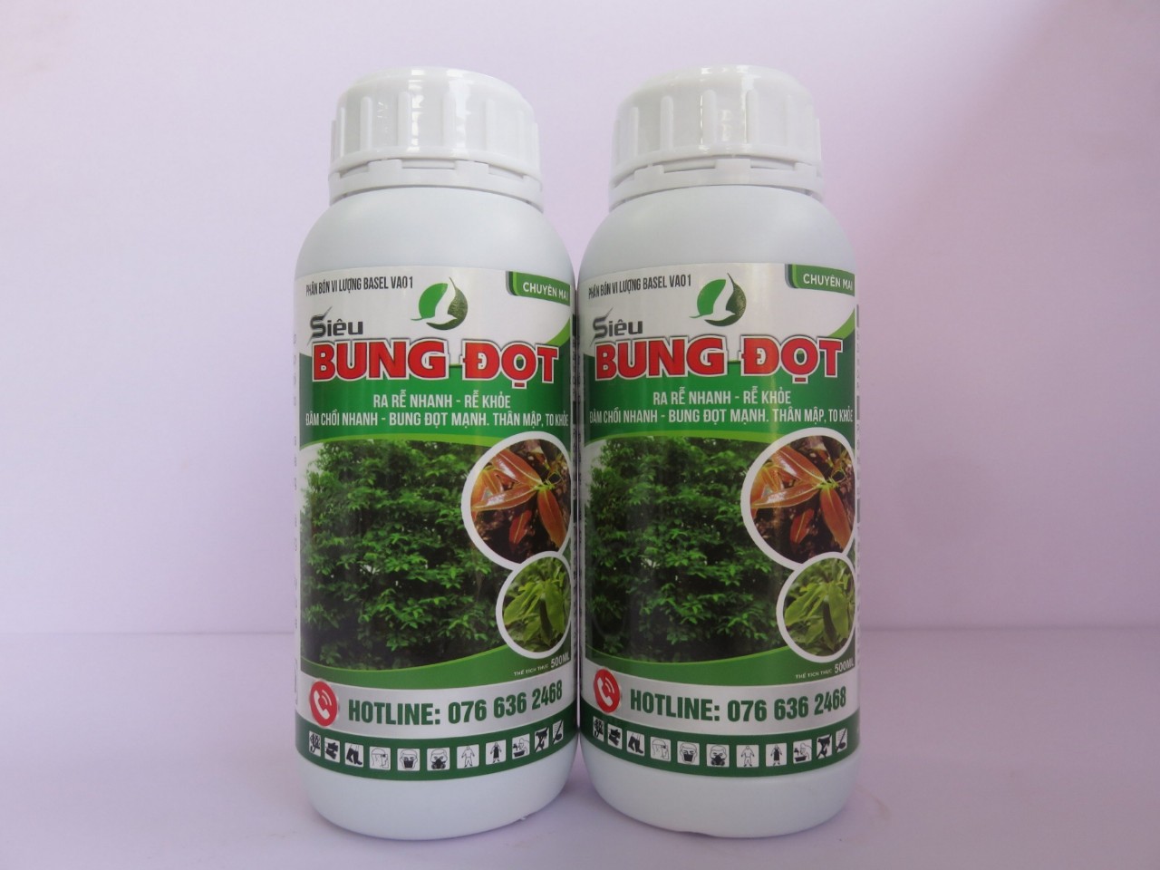 RA RỄ BUNG ĐỌT MAI VÀNG (siêu bung đọt chai 500ml)