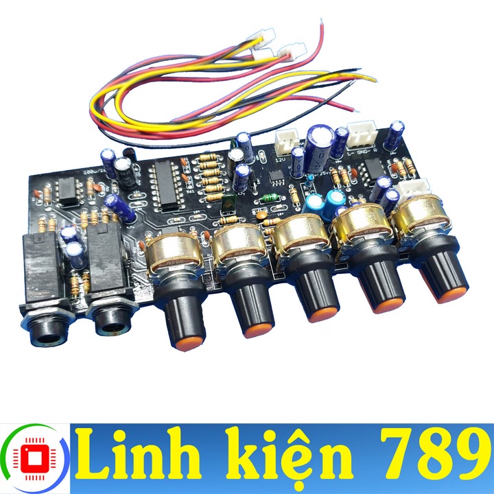 Mạch micro karaoke 12v đơn v2.1 - linh kiện 789