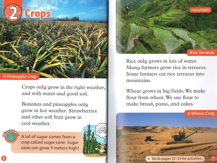 Bộ nhập - Oxford Read & Discover level 2 (20 cuốn : 10 cuốn Image + 10 cuốn Discover)