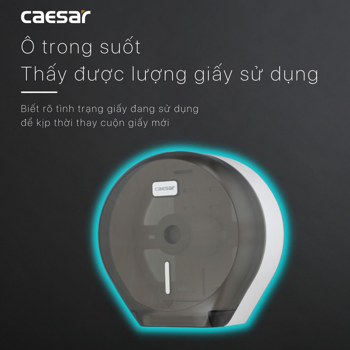 Hộp Giấy Vệ Sinh Nhựa H108 Caesar