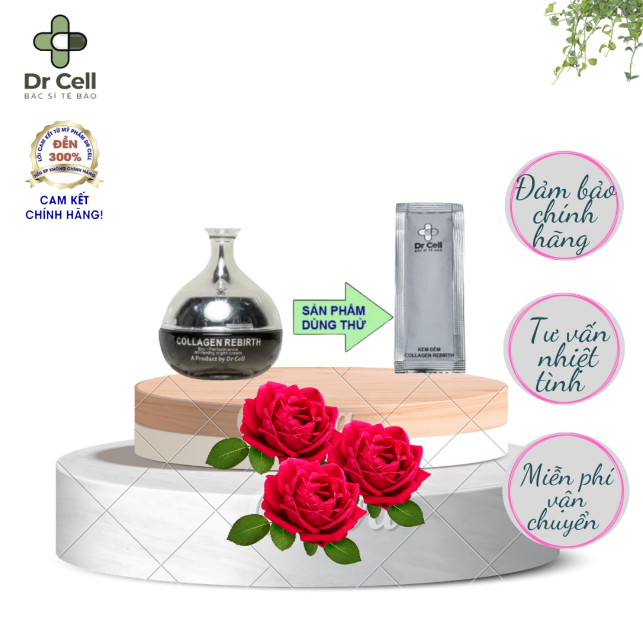 Bộ sản phẩm dùng thử dr cell