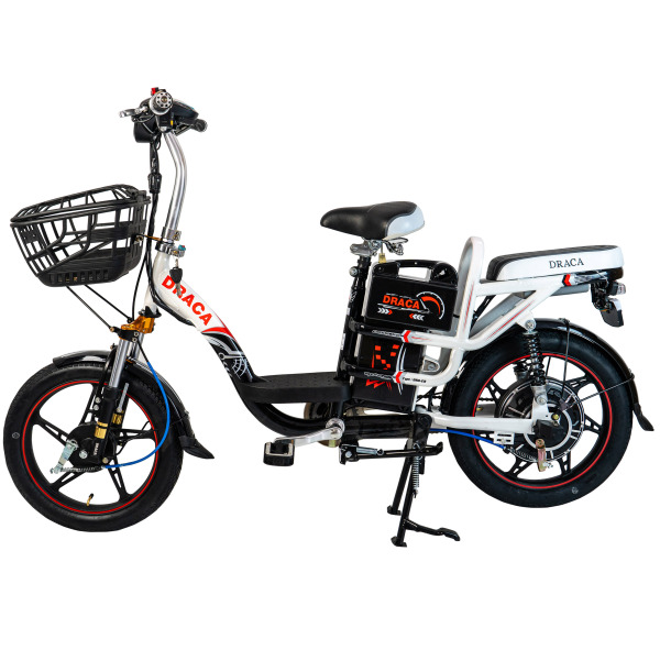 Mua [HCM]Xe đạp điện Draca - E9 Màu đen trắng