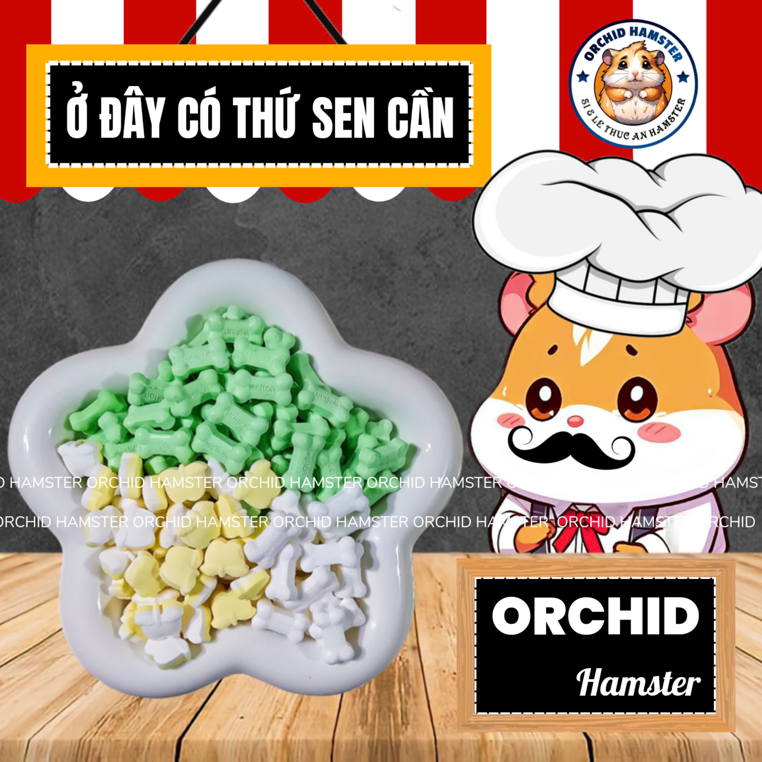 Viên Sữa Dê Cô Đặc Bổ Sung Canxi Hamster