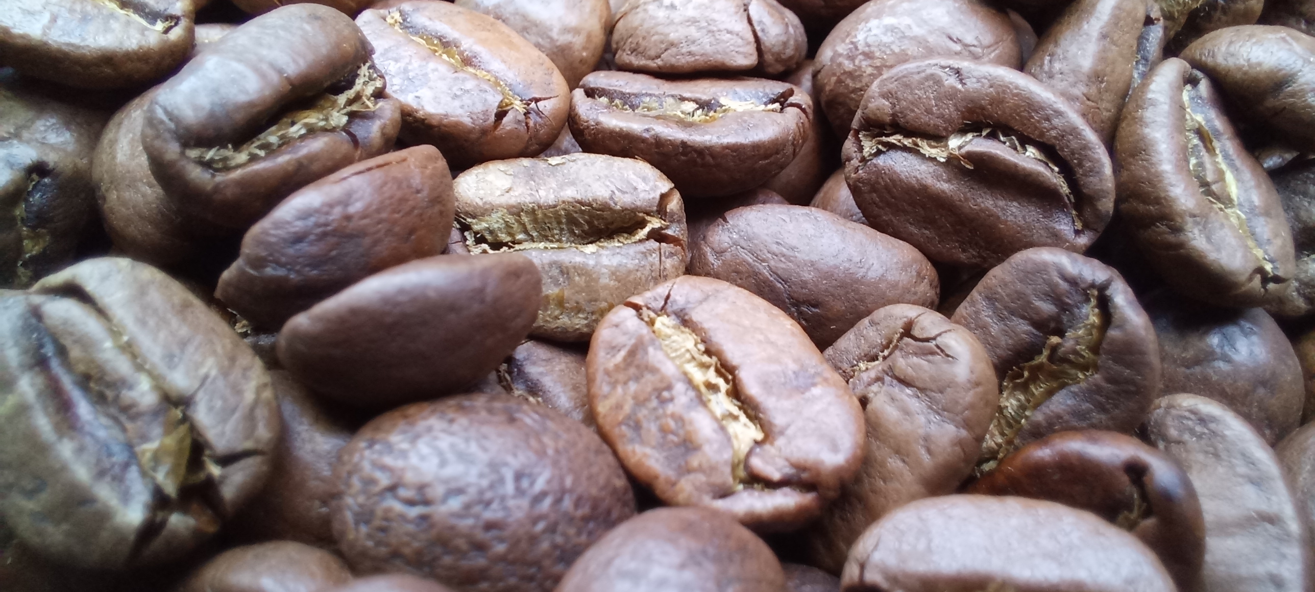1kg Arabica cầu đất rang mộc