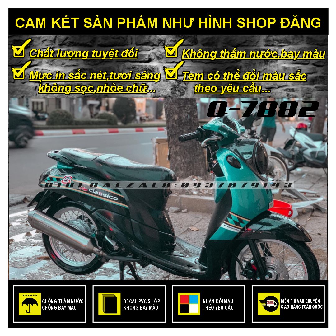 Tem rời mio fino classico mẫu chữ s thái zin