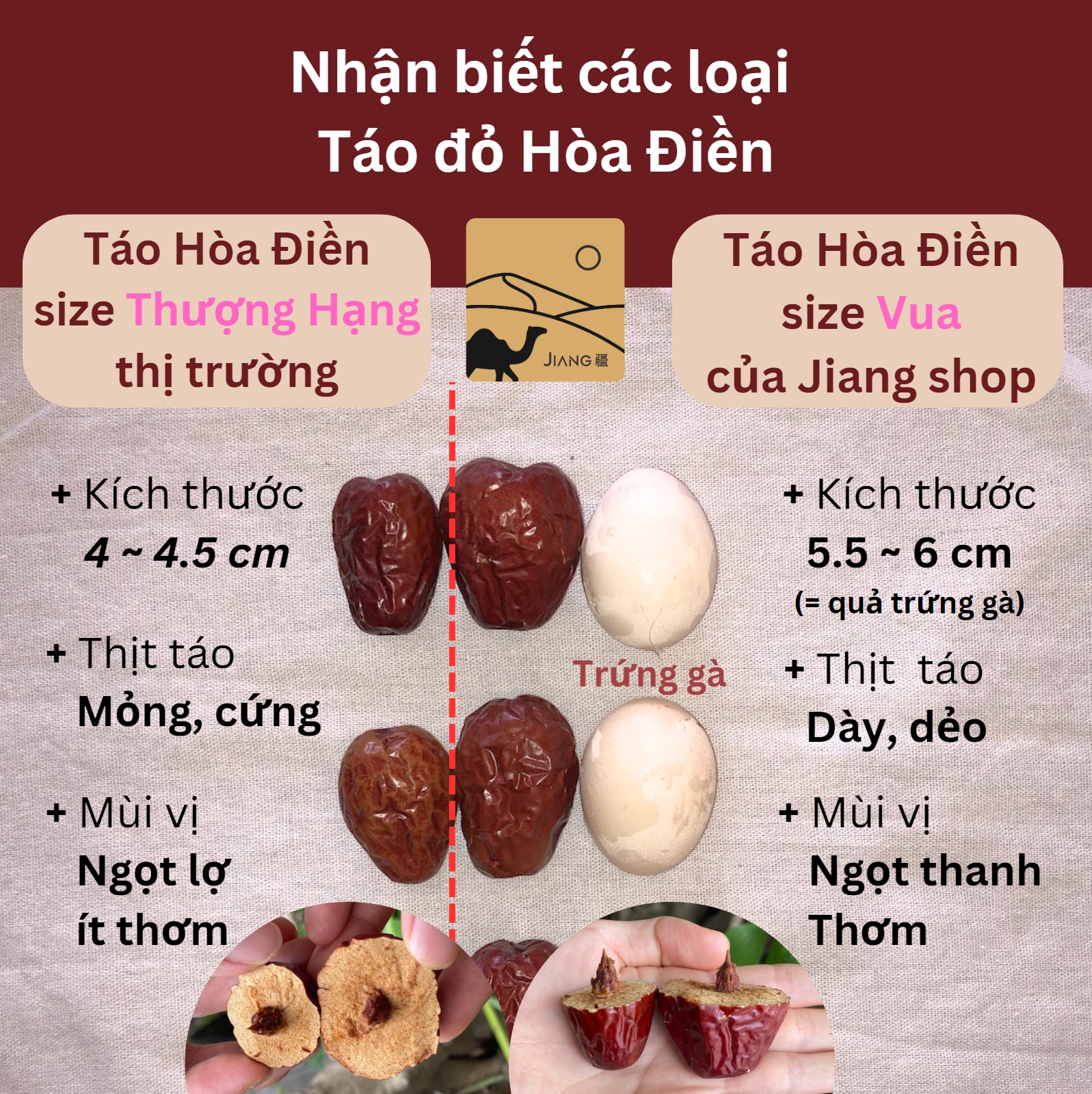 Vua táo Hòa Điền Tân Cương size trứng gà, vỏ mỏng, thịt mềm dẻo, ngọt thanh thích hợp ăn vặt và hãm trà - Jiang Hà Nội