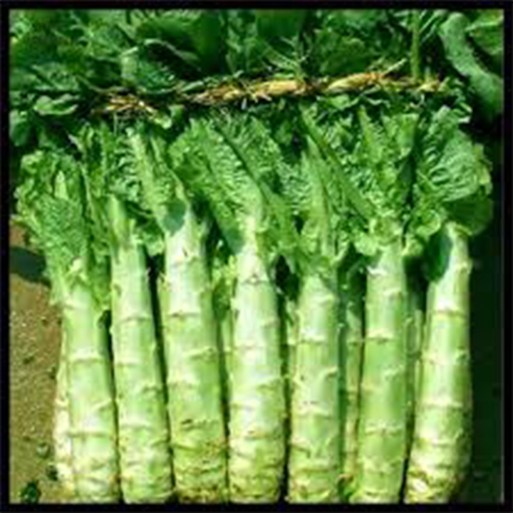 Gói 5 Gram Hạt giống rau diếp tây