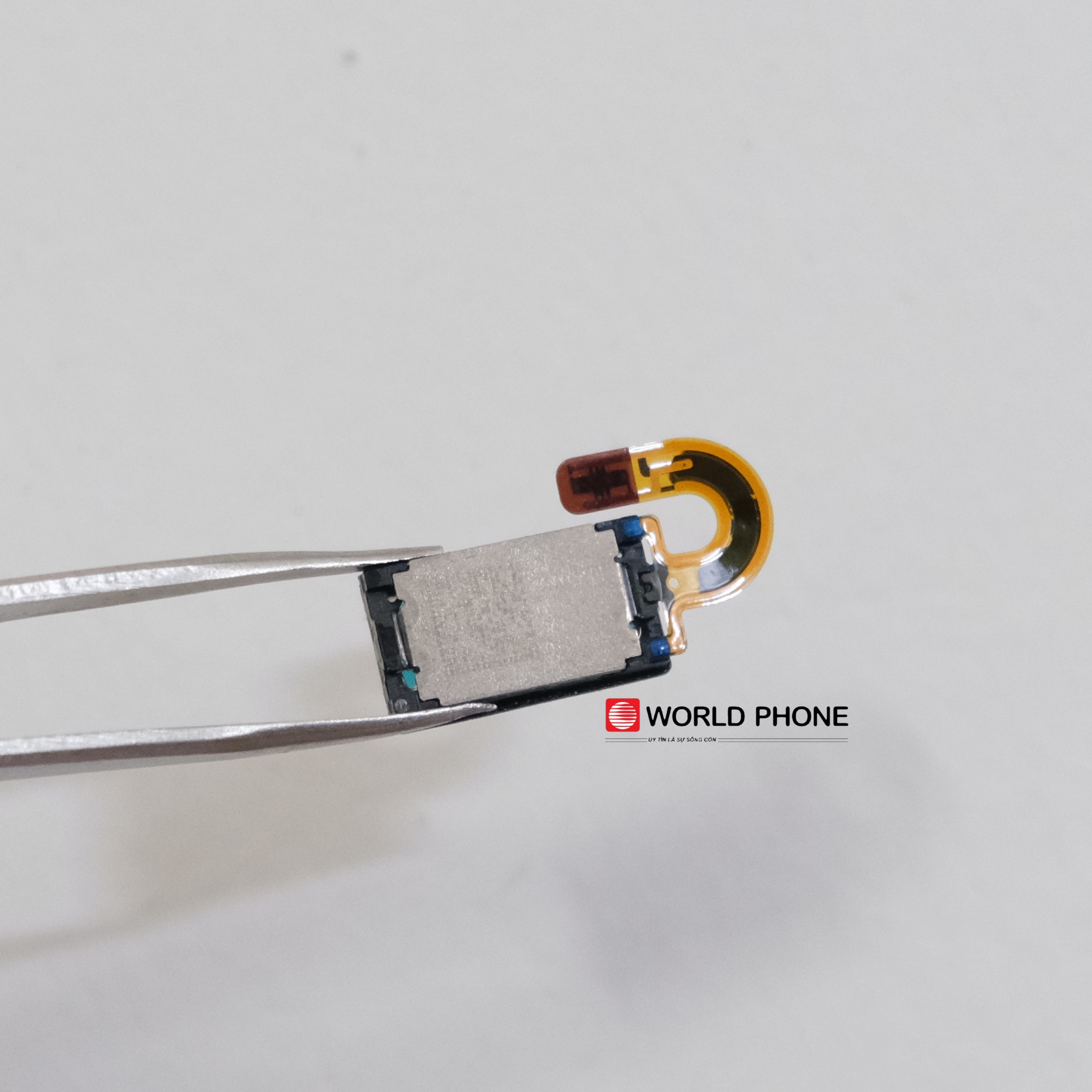 Loa trong Google Pixel 3, GG Pixel 3 XL