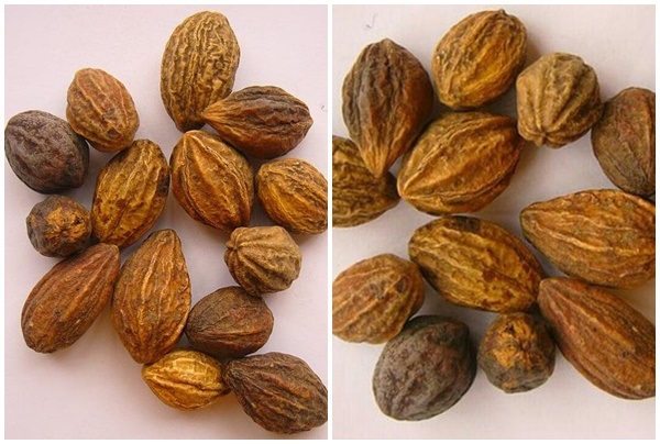1kg quả kha tử