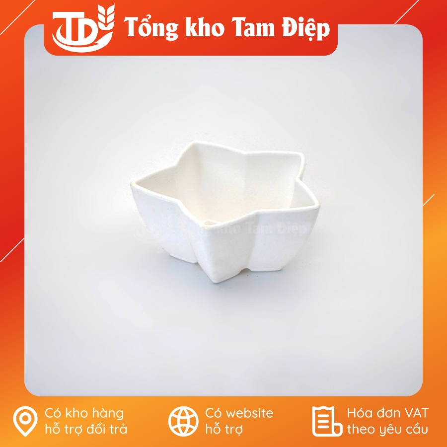Chậu nhựa mini hình sao đủ màu
