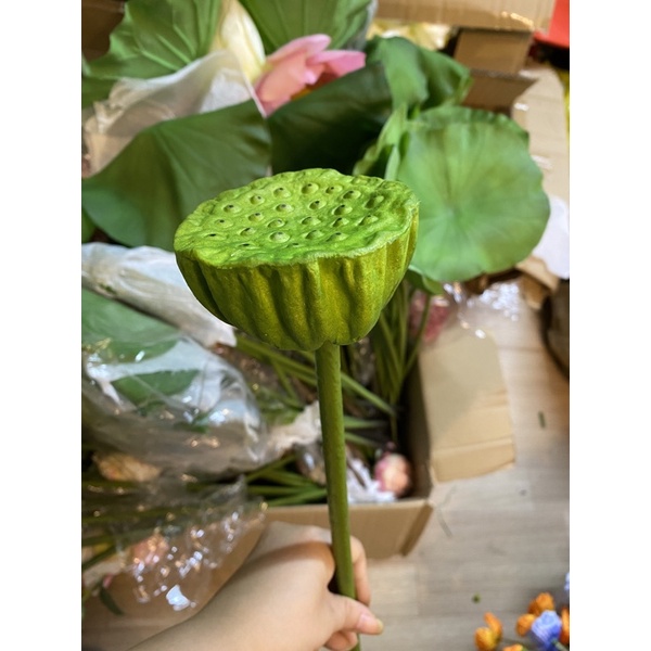Hoa Sen Quan Âm, Hoa Sen Giả HL051-4
