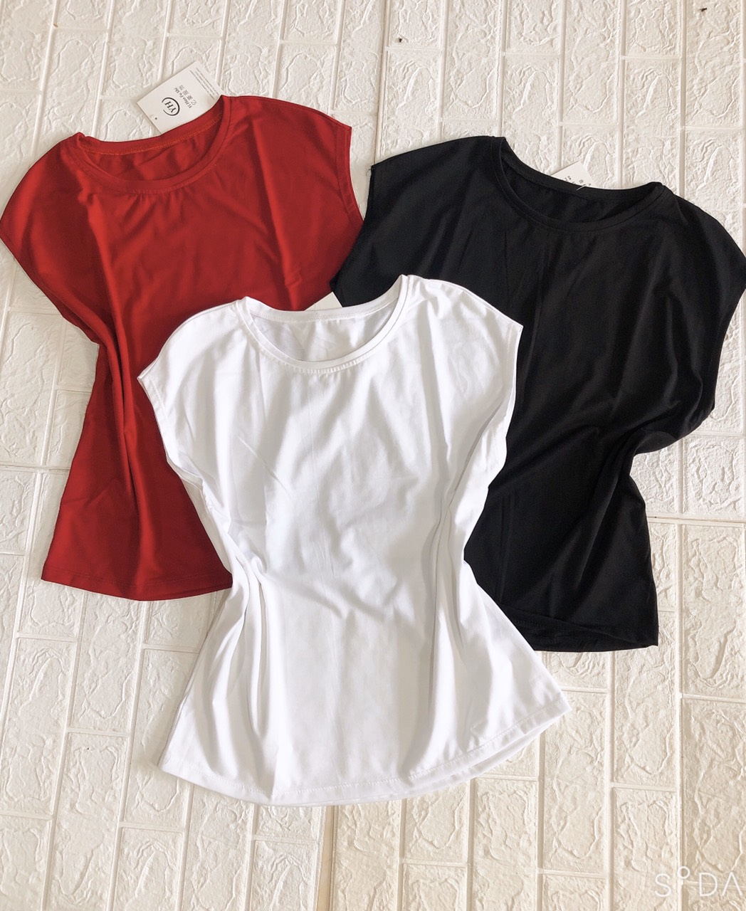 áo thun cánh dơi sát nách chất cotton 3 màu