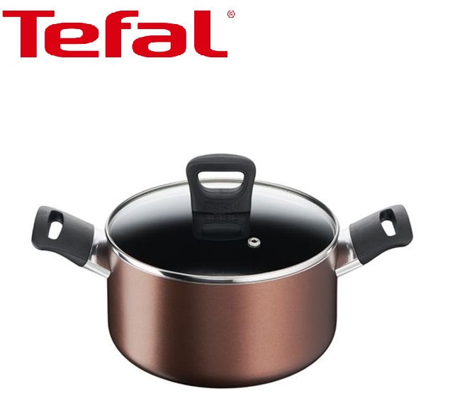 Nồi hai quai tefal day by day 22cm - g1436105