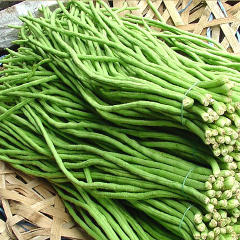 Hạt giống đậu đũa