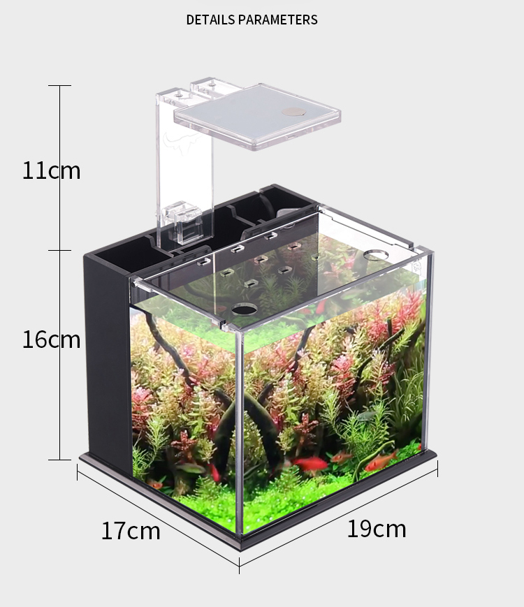 Bể cá mini để bàn Bể thủy sinh mini để bàn 07