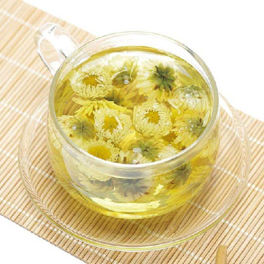 Hoa cúc trắng - Bạch cúc - LOẠI CAO CẤP HỮU CƠ