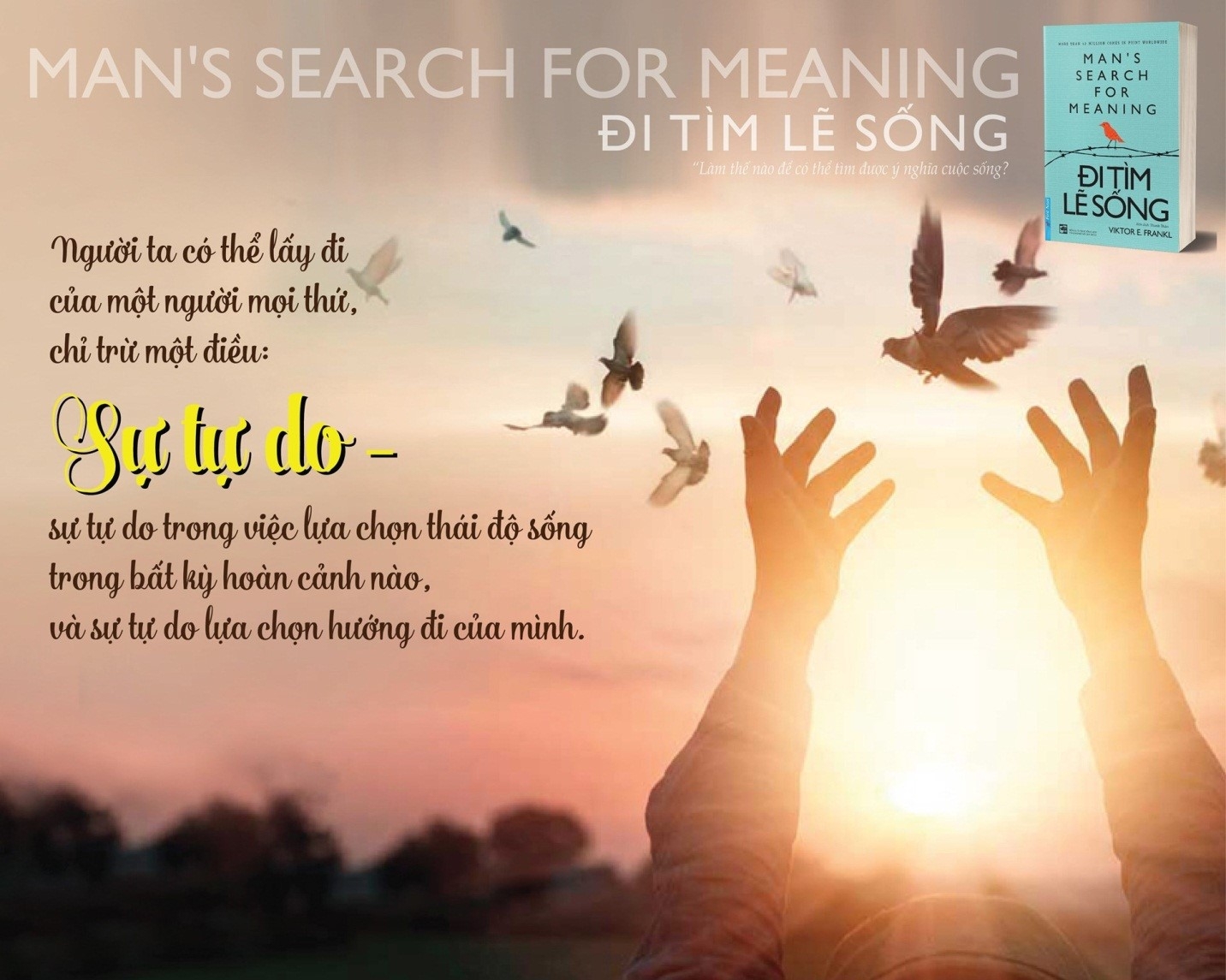 Sách - ĐI TÌM LẼ SỐNG