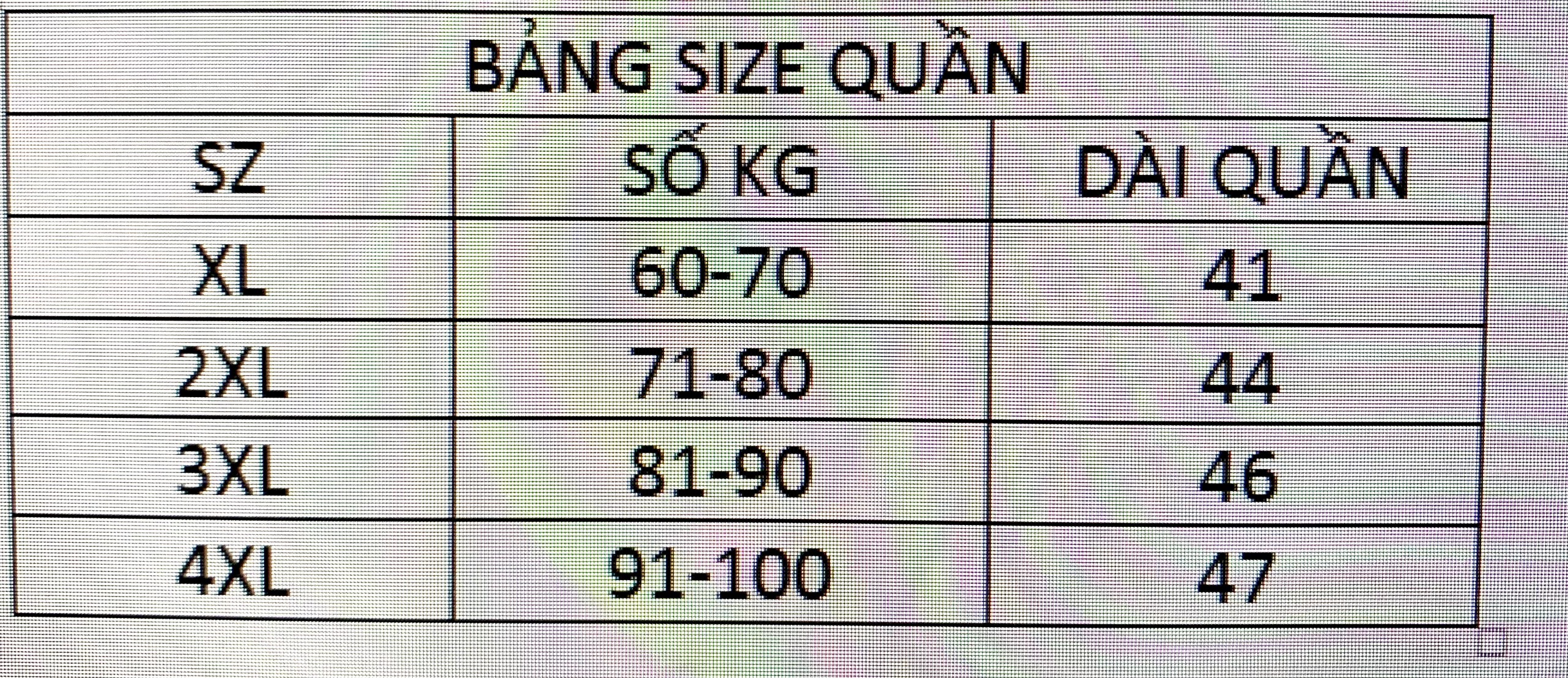 QUẦN HACK DÁNG SIÊU ĐẸP BIGSIZE(60-100KG)