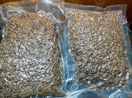Hoa đu đủ đực khô 1kg