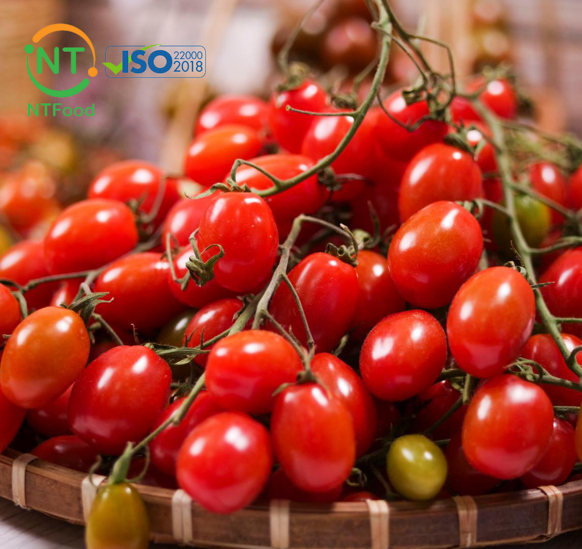 HCM Cà chua Cherry Đà Lạt NTFood 1Kg 500Gr - tươi ngon mỗi ngày - Nhất Tín
