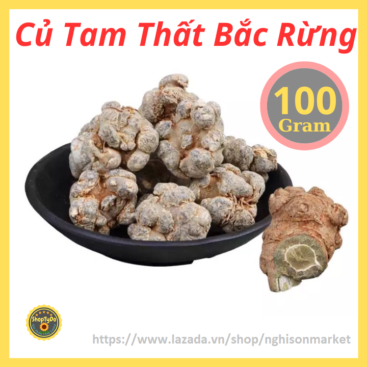 Củ Tam Thất Bắc Rừng thượng hạng khô 100 gram (loại 6-8 củ)