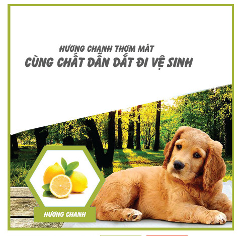 [HỎA TỐC / 50 Miếng] Purmi - Miếng lót vệ sinh cho chó (40*50cm)