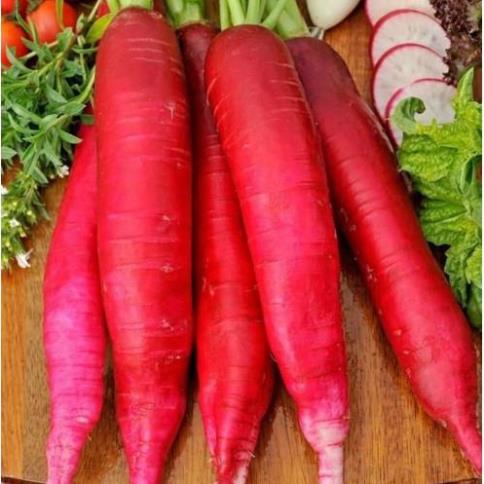 Hạt củ cải đỏ dài - gói 5 gram