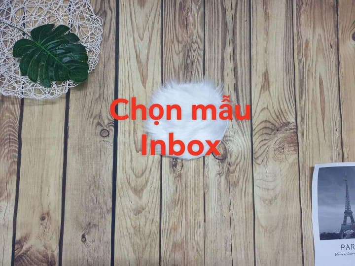[HCM]Sét tiểu thư hoa voan Thái
