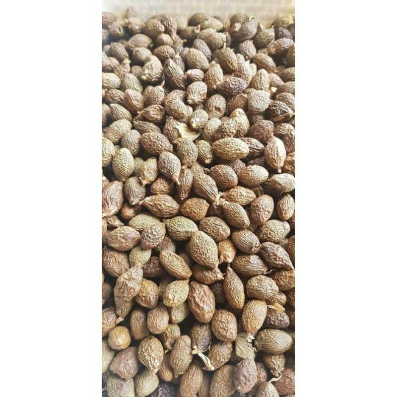 [HCM] Hạt Ươi Bay- loại to - 100gr