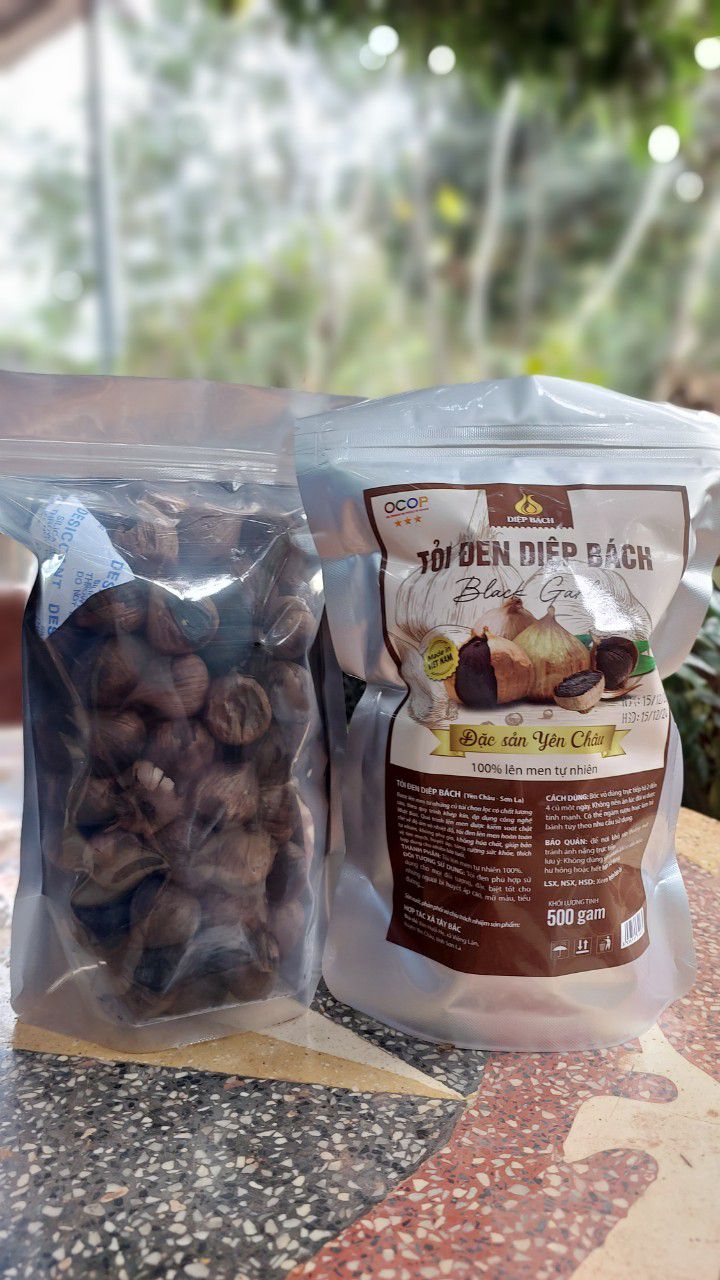 Tỏi Đen Cô Đơn Loại 2 [Combo 5kg/10 túi 500g]