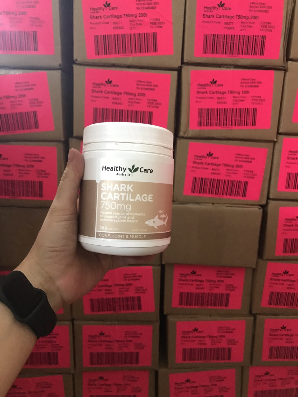 Sụn vi cá mập - Shark Cartilage (200 viên)