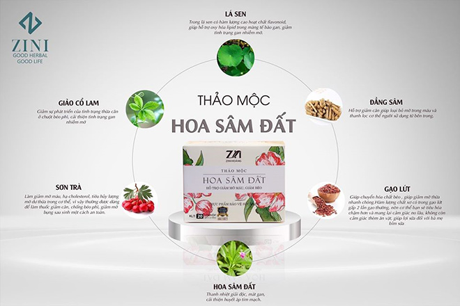 [HCM]Trà giảm cân Hoa Sâm Đất mẫu mới nhất (20 Gói x 02 viên) – Hỗ trợ giảm mỡ máu béo phì