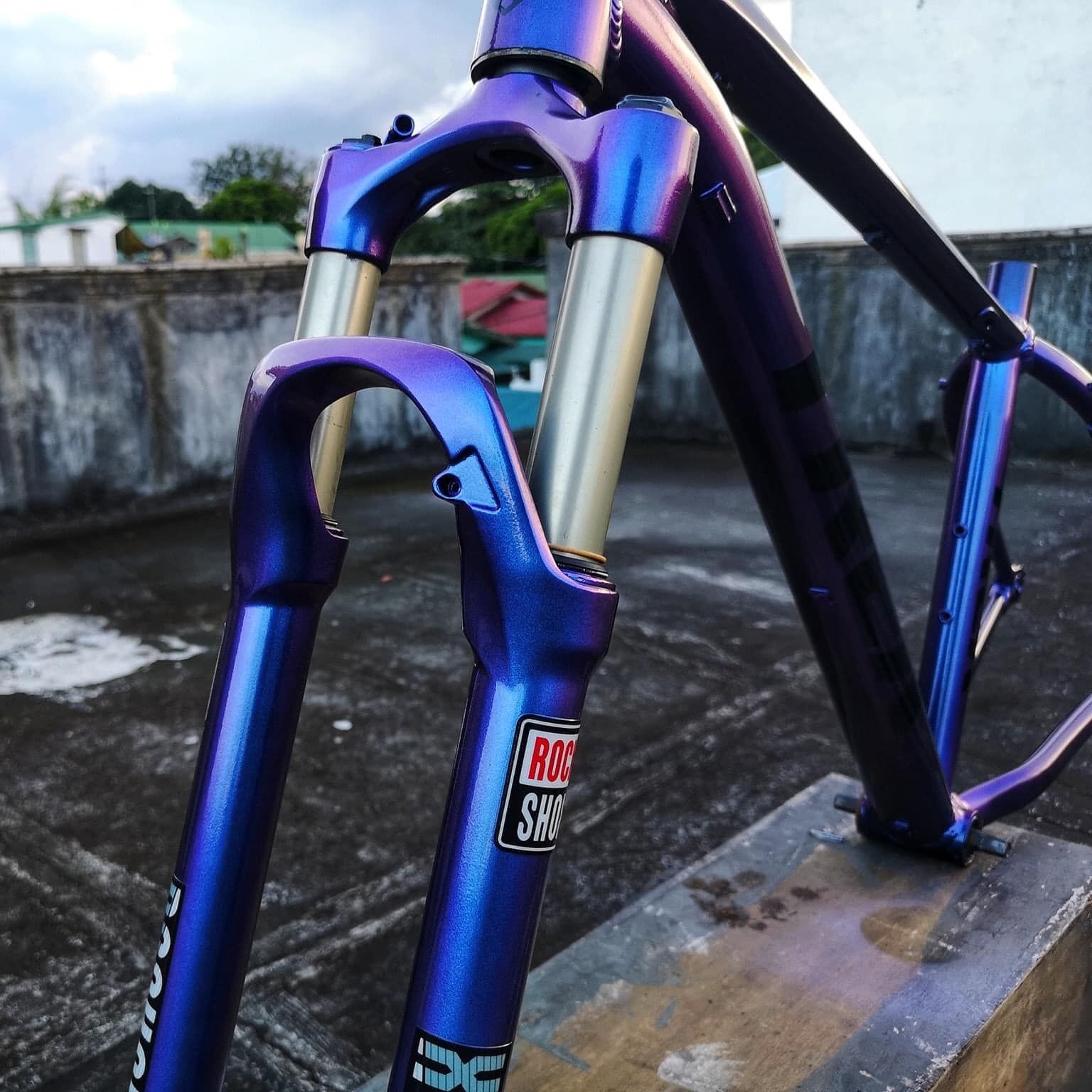 Combo sơn xịt Samurai màu xanh tím titan 3d T901 tùy chọn